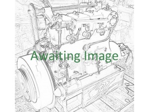 2 & 4 DS and DSM Engines